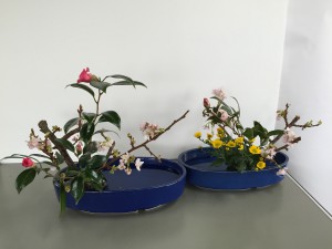 琳派調　桜